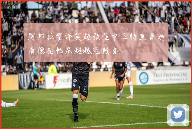 阿邦拉霍评英超最佳中卫特里费迪南德孔帕尼超越范戴克